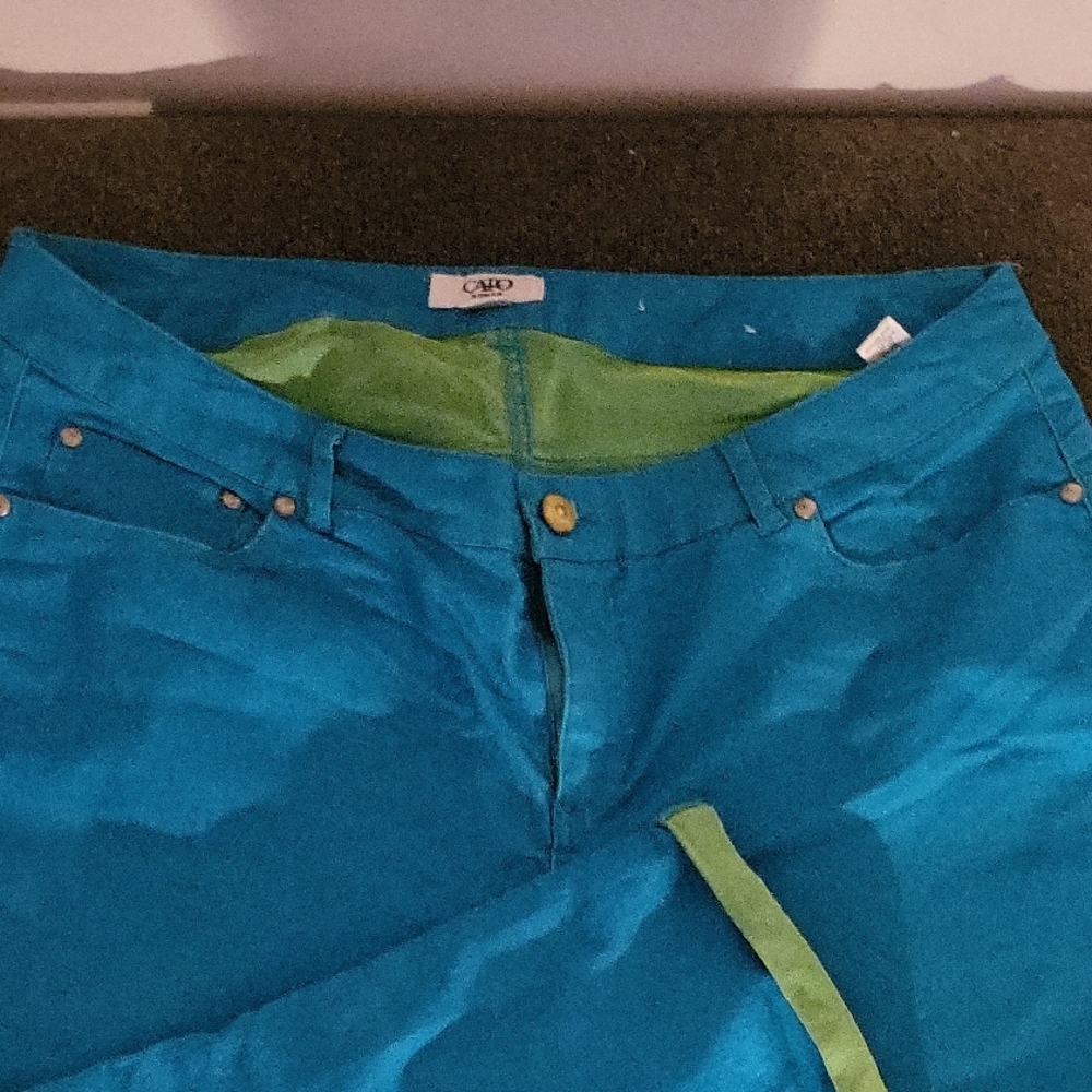 Cato Women's Blue Jeans with Green Accents